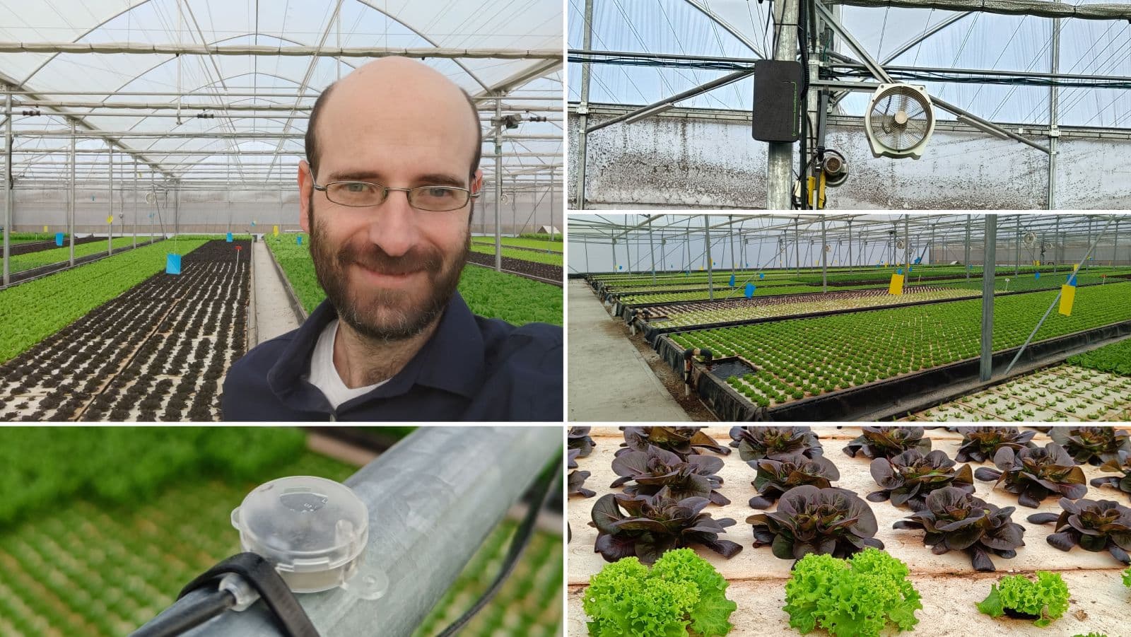 Greenhouse Climate Controller: The Key to Year-Round Growth