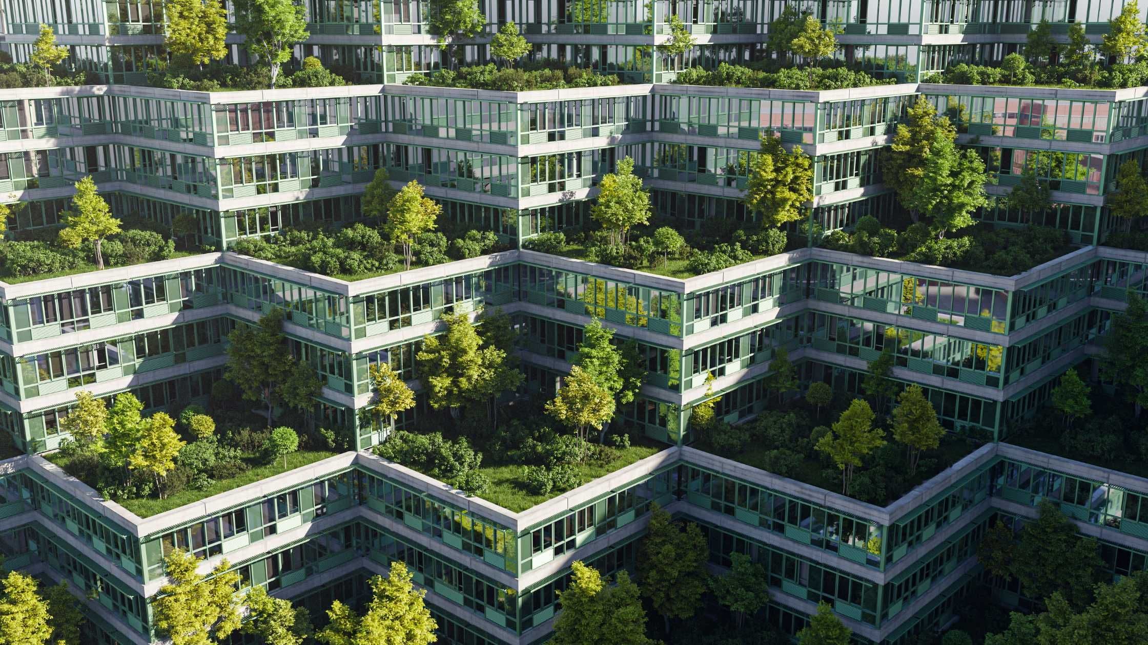 Urban Agriculture in 2025: A Growing Trend with Deep Roots