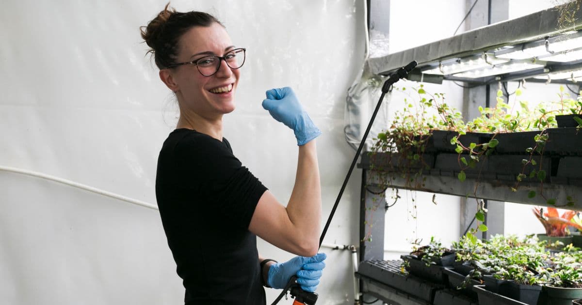 From Seedling to Harvest: The Complete Hydroponic Nutrients Guide for Optimal Plant Health