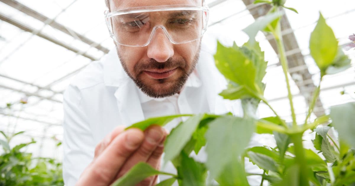 commercial grower implement a water management system into greenhouse