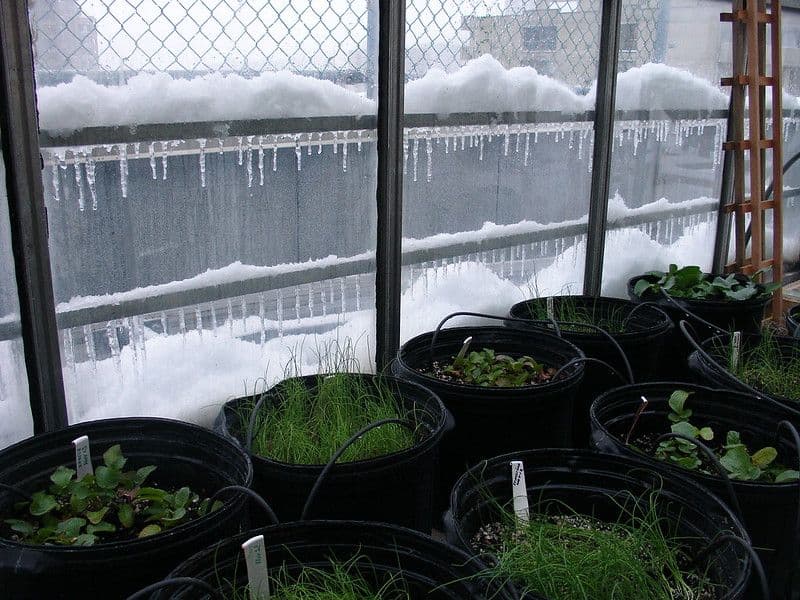 winter preparation is very important for Hydroponic greenhouse systems