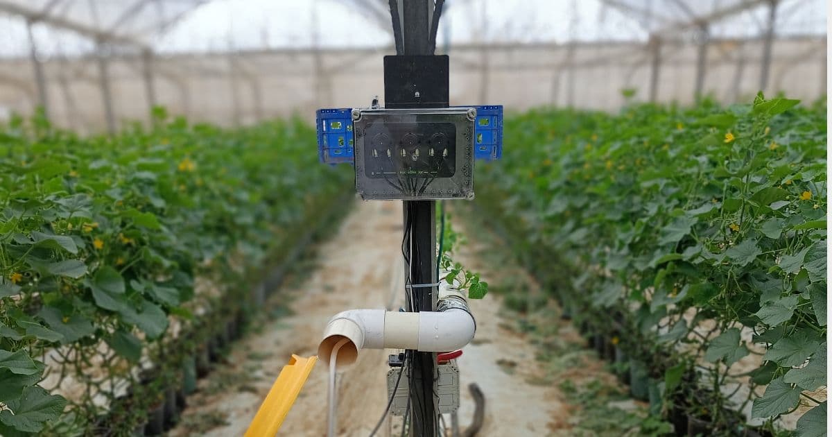 How To Grow Hydro Cucumbers: Case-Based Guide (2025)