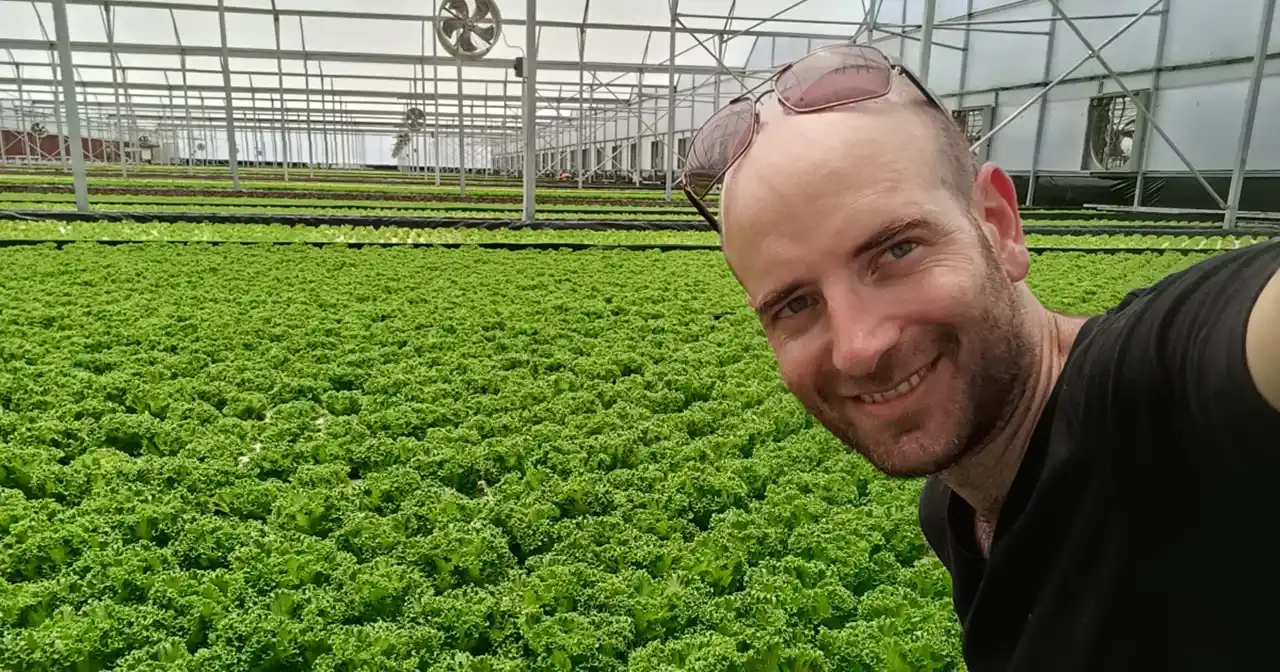 60% Off Labor Costs-Easy Ways to Farmstand Lettuce Grow