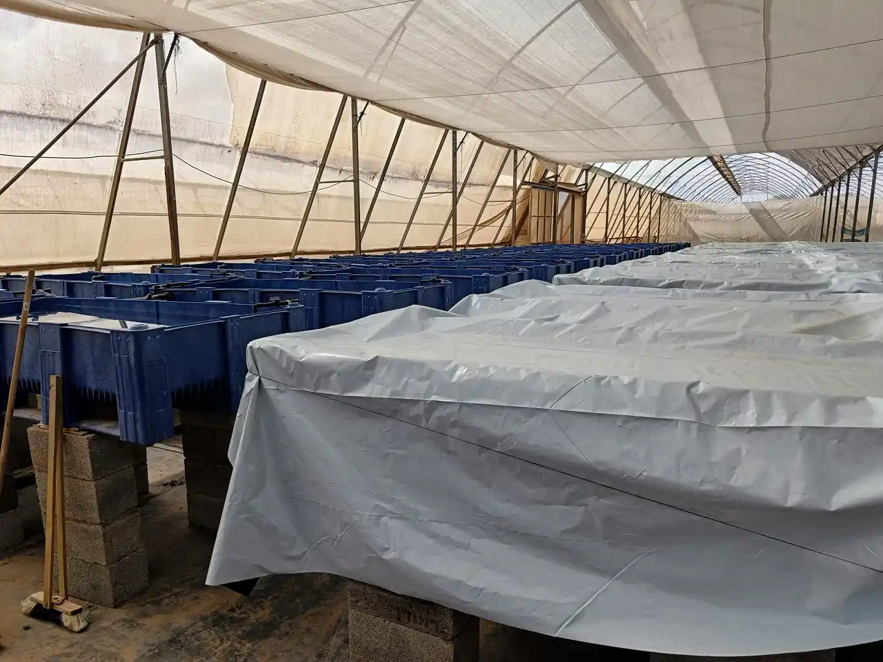 DWC Farm - From Manual Monitoring to Automated Success