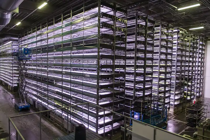 Guide to the Commercial Vertical Farm: Optimizing for Profitability and Peak Yields
