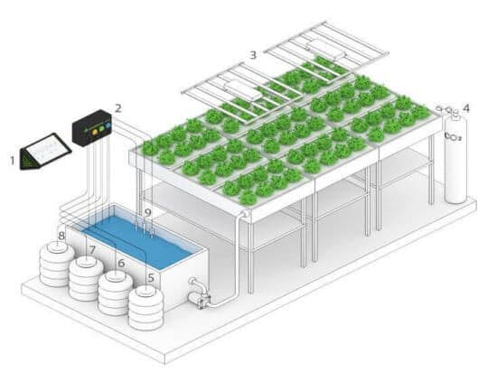 Hydroponic Growing