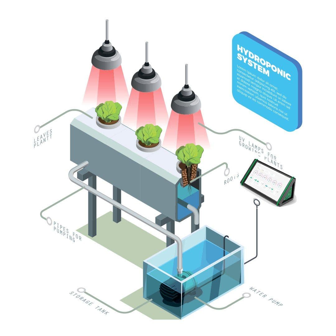 Automating Your Grow Room