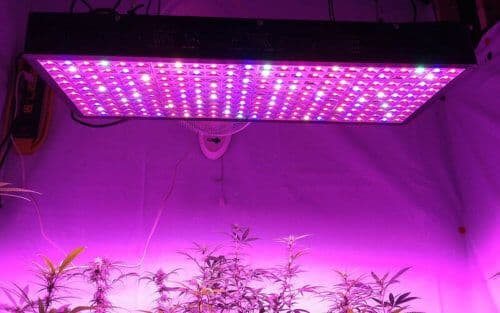 LED Grow Lights