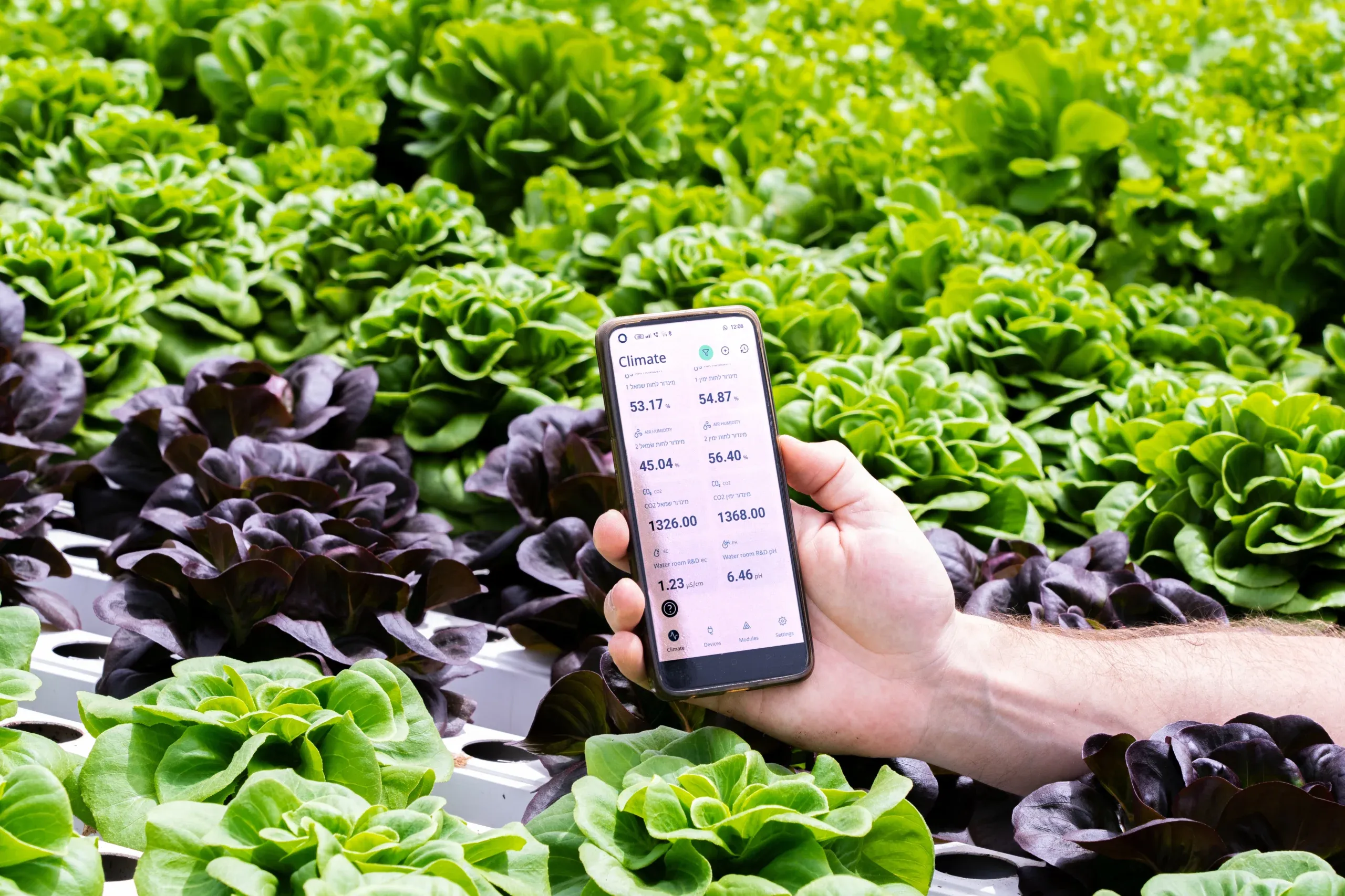 GrowDirector App Update: Introducing Loop Rules for Precise Device Control!