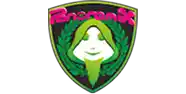 Partner icon