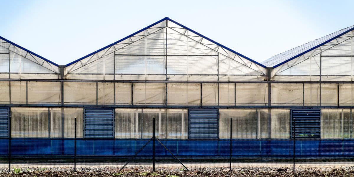 Glass Greenhouses vs. Polycarbonate: Choosing the Right Covering for Commercial Greenhouses