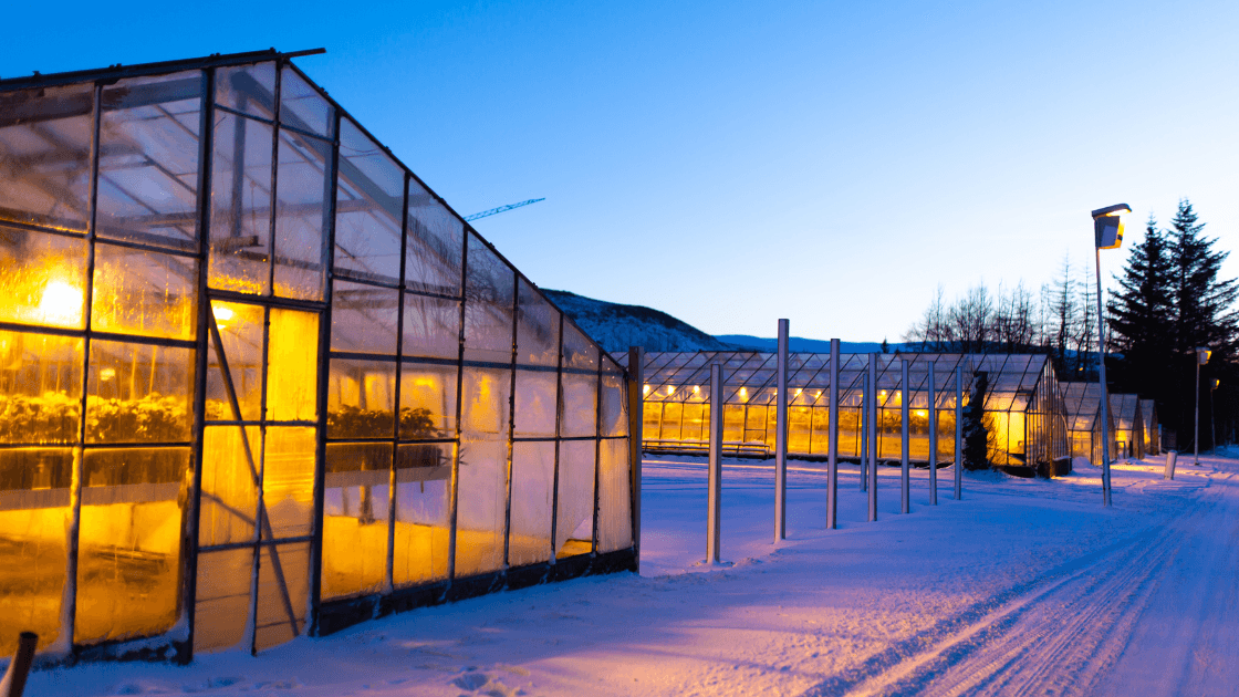 Choosing the Right Greenhouse Heater: A Comprehensive Guide for All Growers