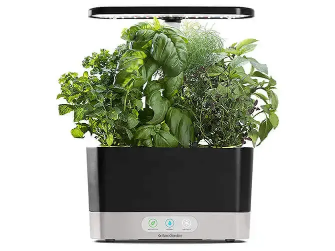 Aerogarden Harvest