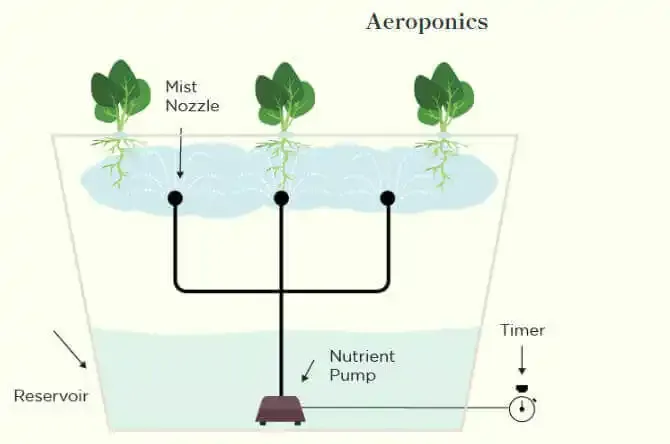 Aeroponics System