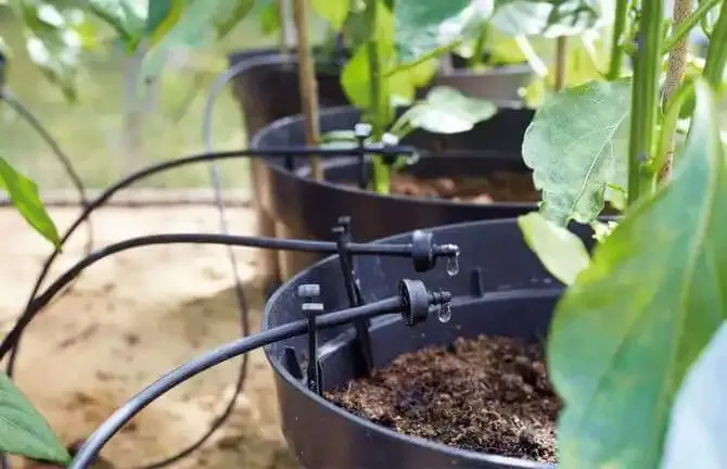 Auto Watering Timer For Drip Irrigation
