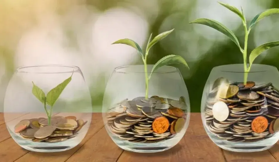 greenhouse crops for profit