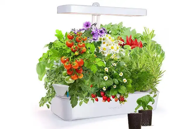 Growled Adjustable Germination Hydroponic System