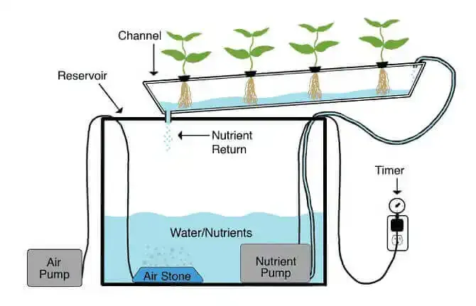 Hydroponic System