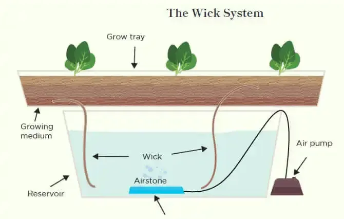 Hydroponic Wick System