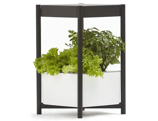 Miracle Gro Twelve Indoor Growing System