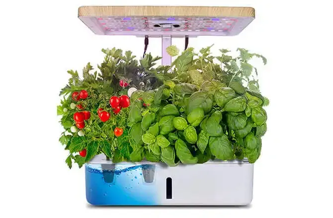 Moistenland Hydroponics Growing System