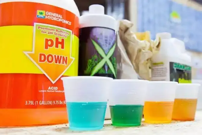 Nutrients For Hydroponic Farming In The Dosing Glasses