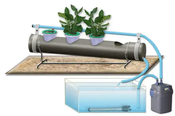 Top Feed Hydroponic