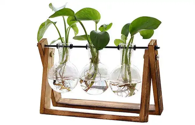 Xxxflower Hydroponic Garden