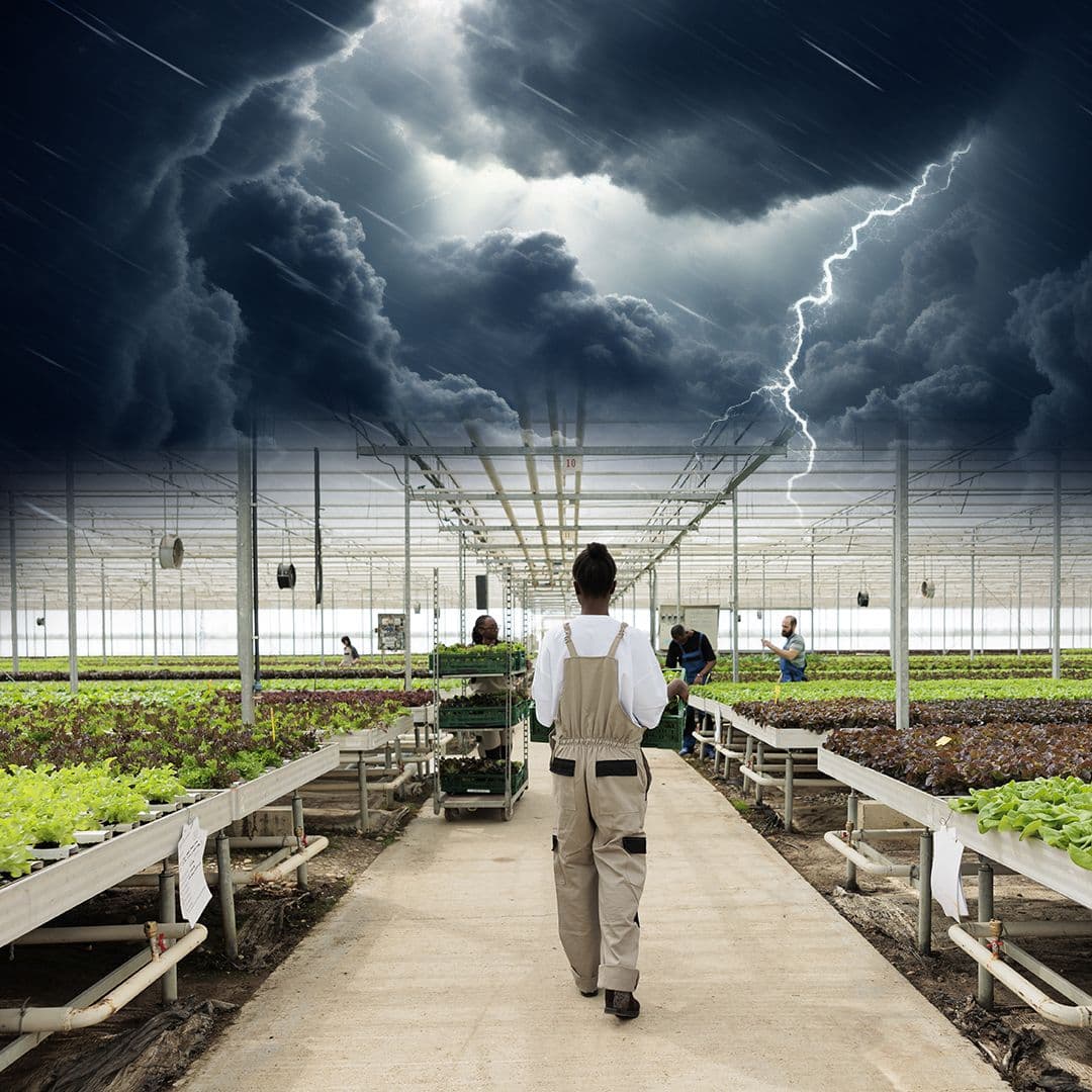 greenhouse farming protect crop from weather