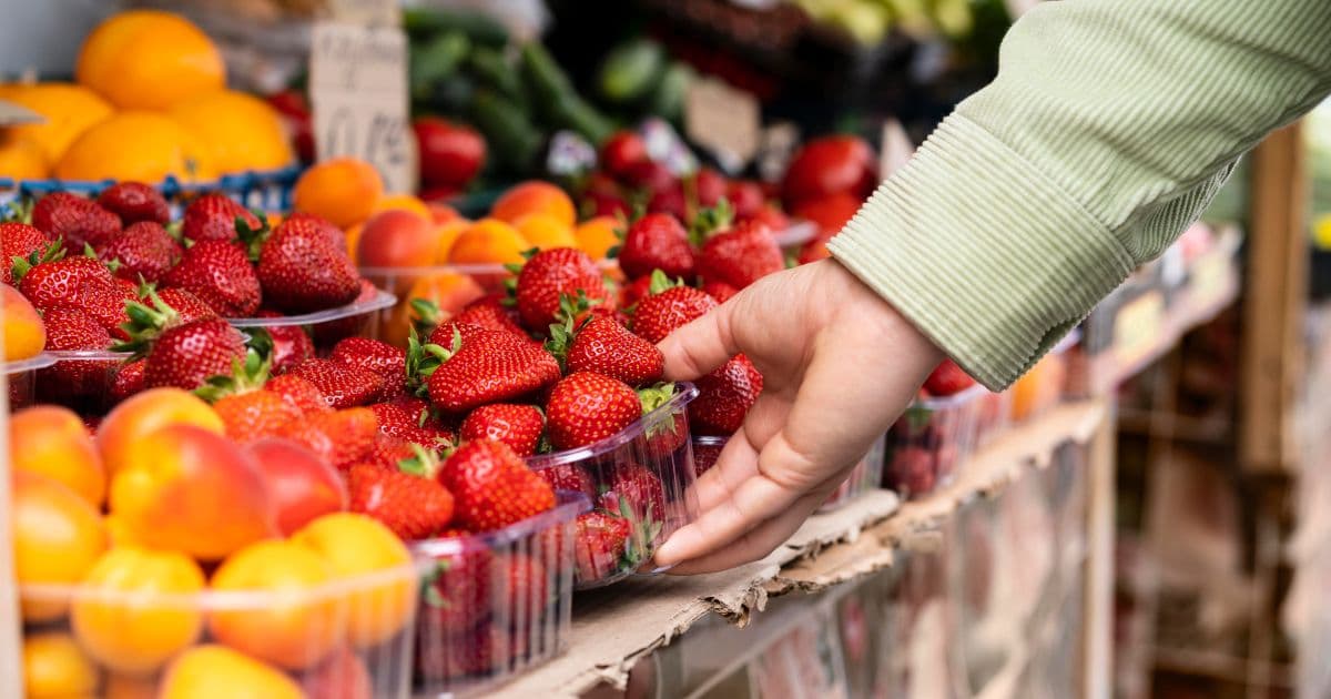 Access to markets is a significant challenge for small-scale farmers in modern agriculture