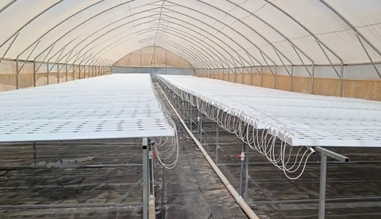 Effective Greenhouse Climate Control for Extreme Weather