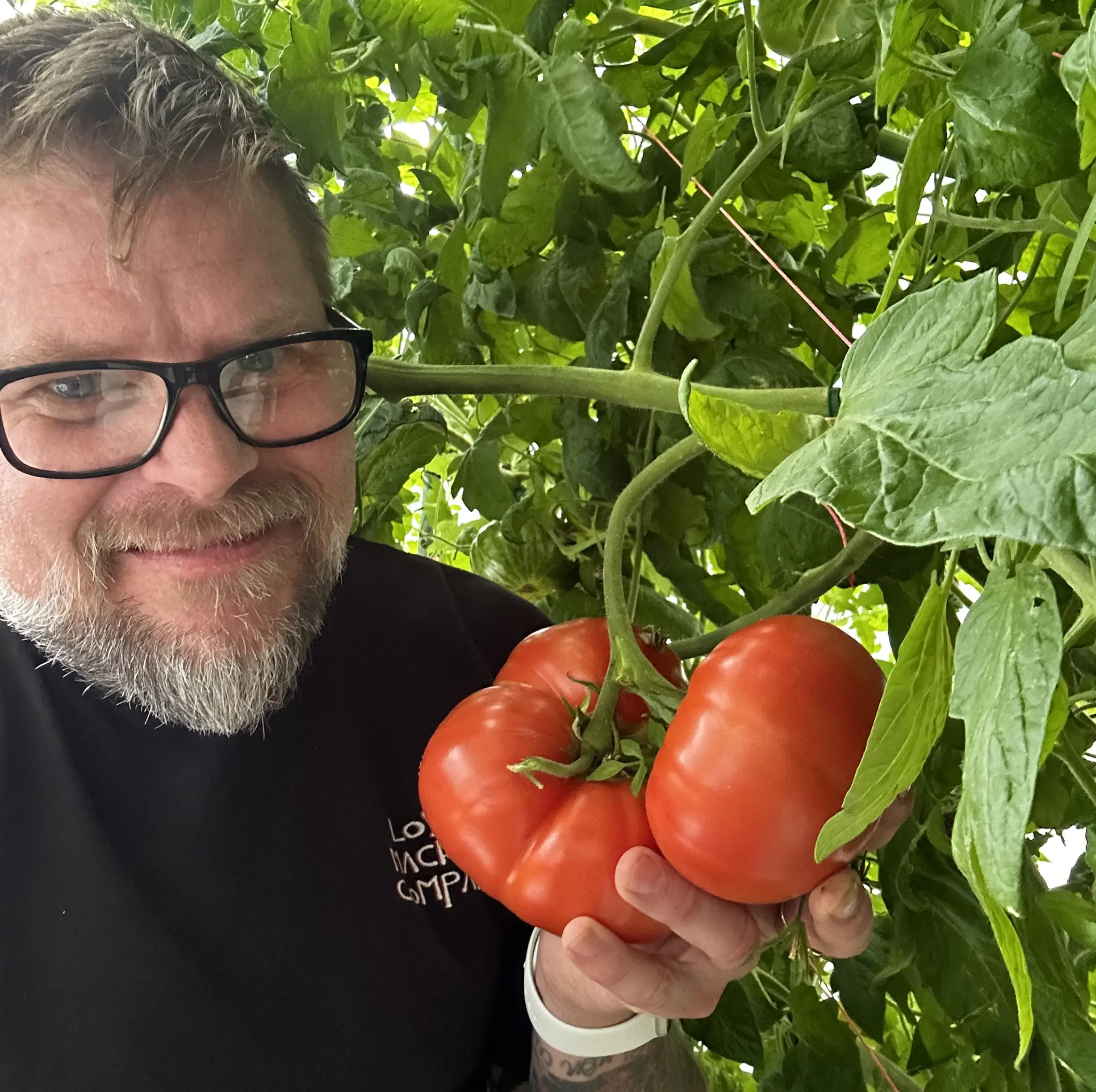 How to Optimize Your Aeroponic Farm with Precision Greenhouse Control