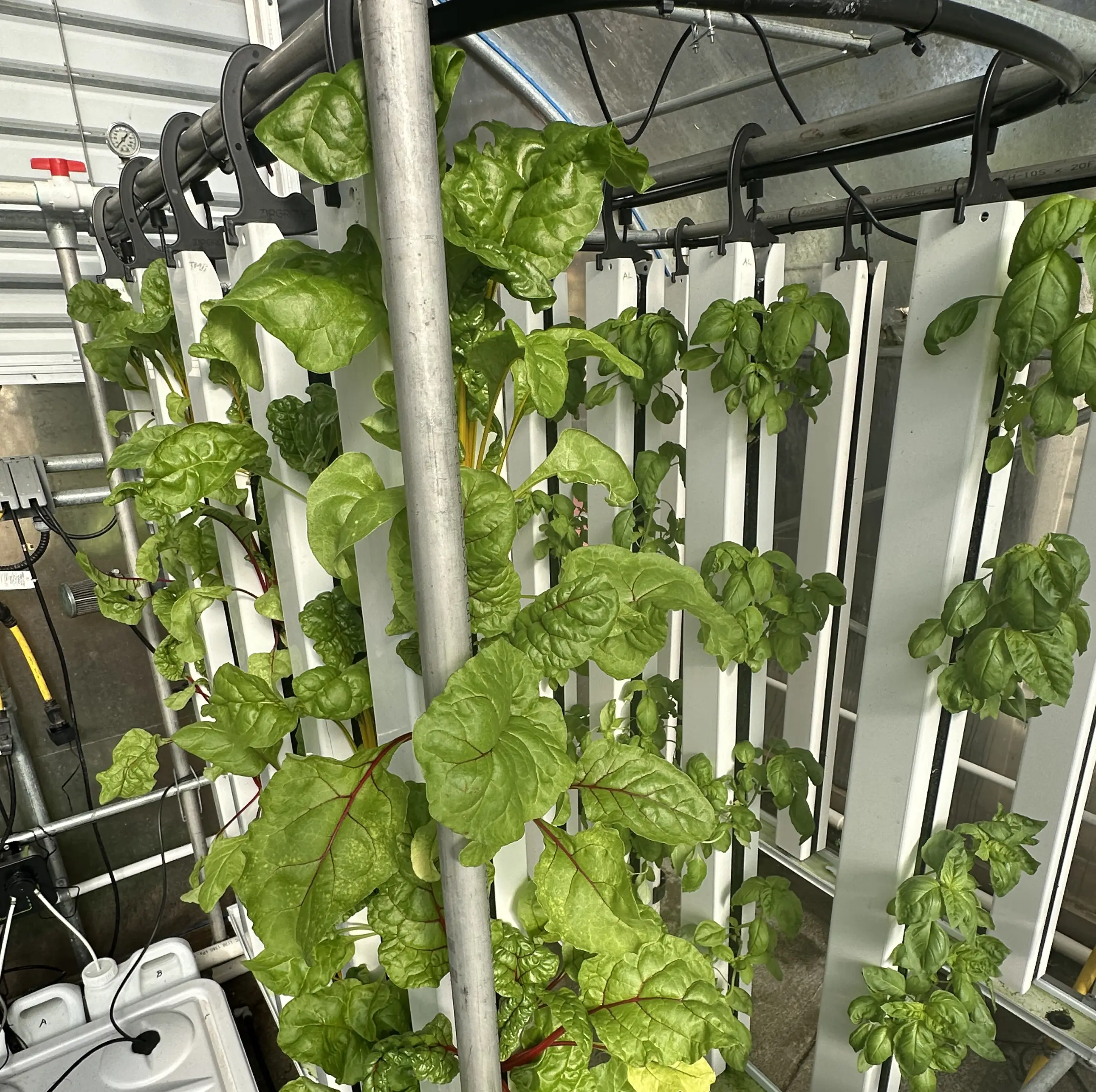 How to Optimize Your Aeroponic Farm with Precision Greenhouse Control