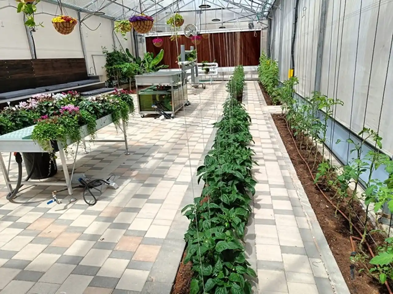 How to Manage 4 Growing Methods in One Educational Greenhouse - A Unified Automation Strategy