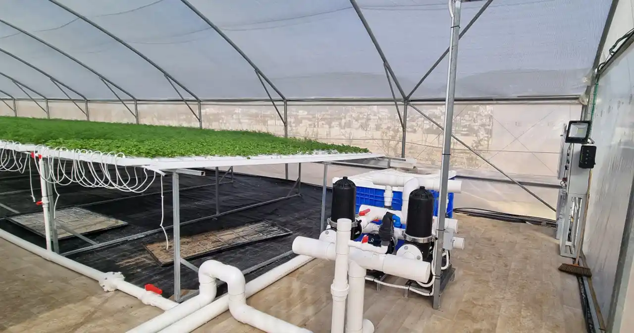 Revolutionizing Greenhouse Farming - The Restaurant Owner’s Success Story