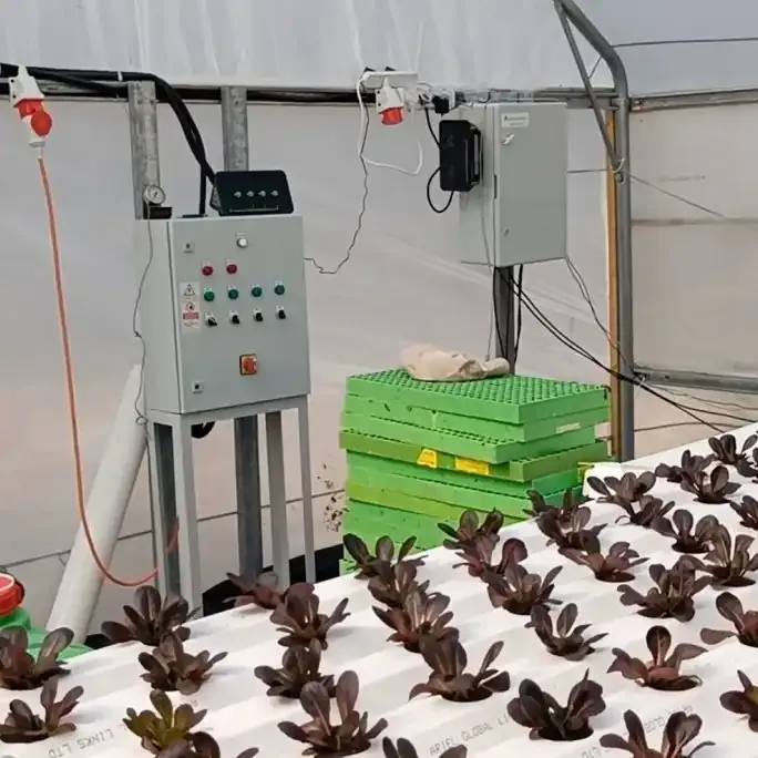 Automated Irrigation System In A Smart Greenhouse Improving Water Efficiency For Clima