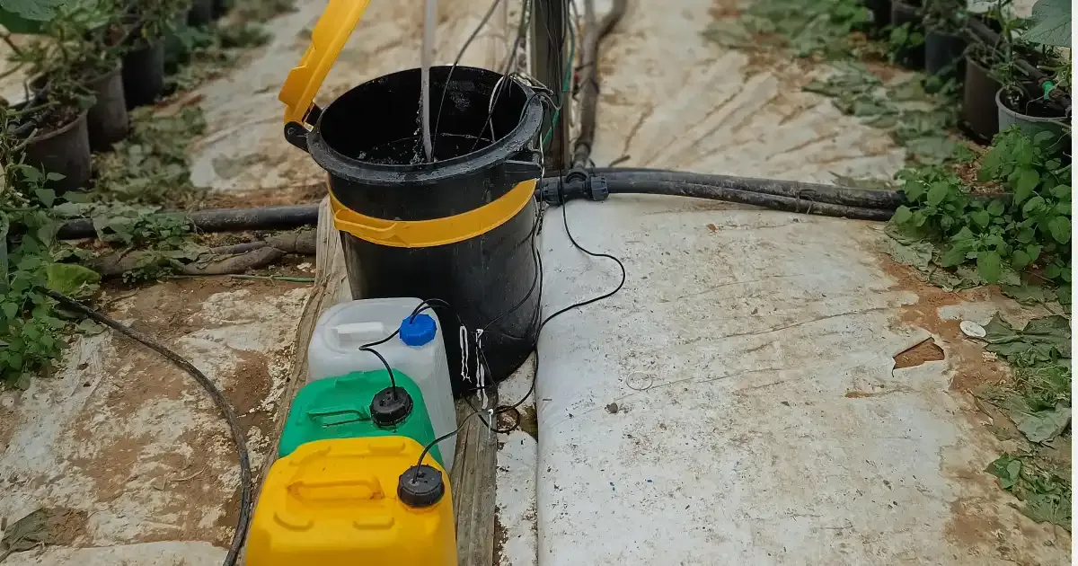 Fertilizers For Hydroponic Cucumbers