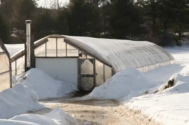 Greenhouse Insulation Help To Maintain A Winter Plant Protection While To Use Heating