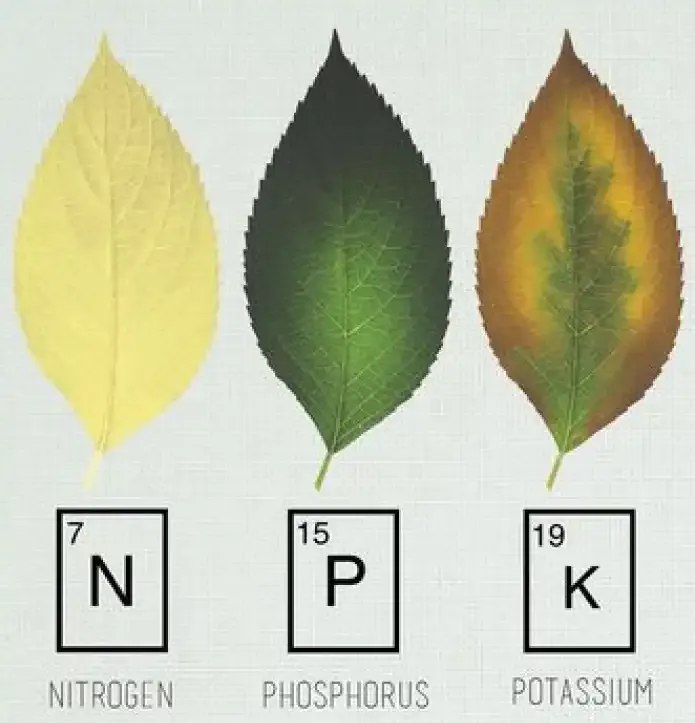 Hydroponic Nutrients Guide Frame 100000193711