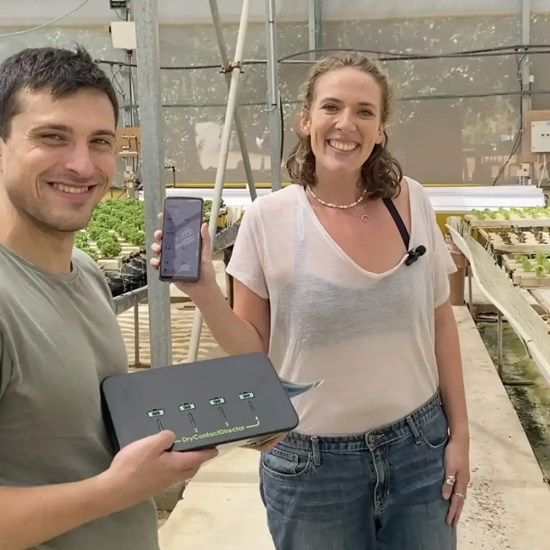 Inside A High Tech Greenhouse Utilizing Greenhouse Ai For Efficient Crop Production