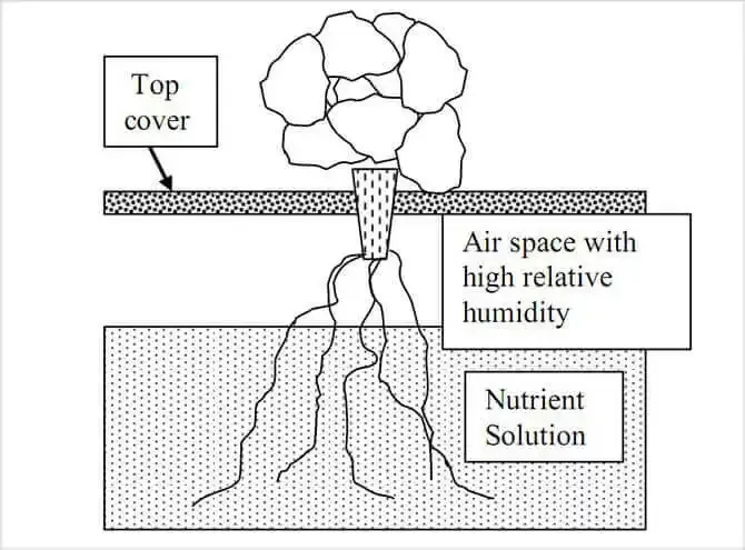 Passive Hydroponic System Img2