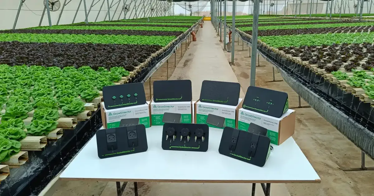 Perfect Solution To Keep Greenhouse Cool In Summer And Protect From Overheating