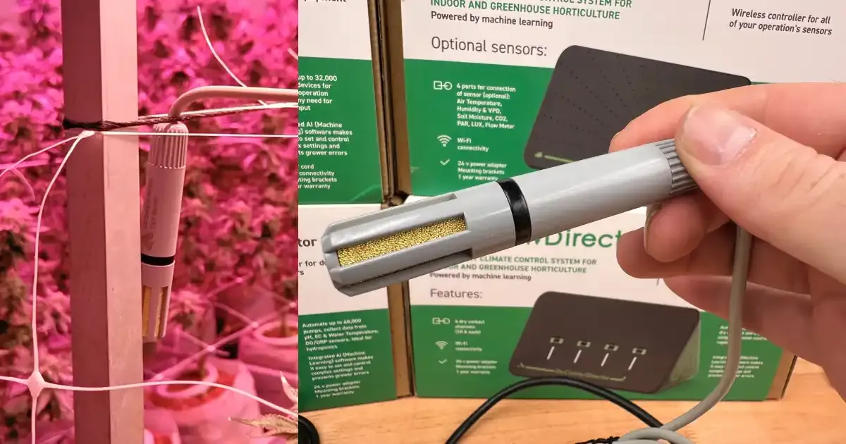 Temperature And Humidity Sensor For Precise Temperature And Humidity Control