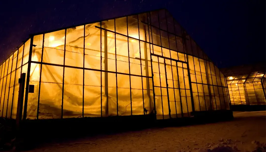 Temperature Controlled Greenhouse Continue Working Even In Freezing Season