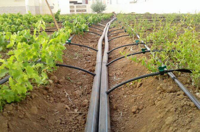Irrigation pipeline
