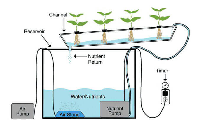 Basic principle of hydroponics