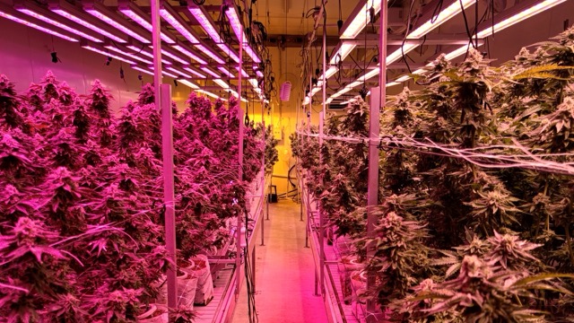 Slide 16_9 - 13 — средний размер