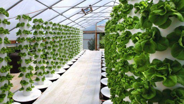automated hydroponic systems