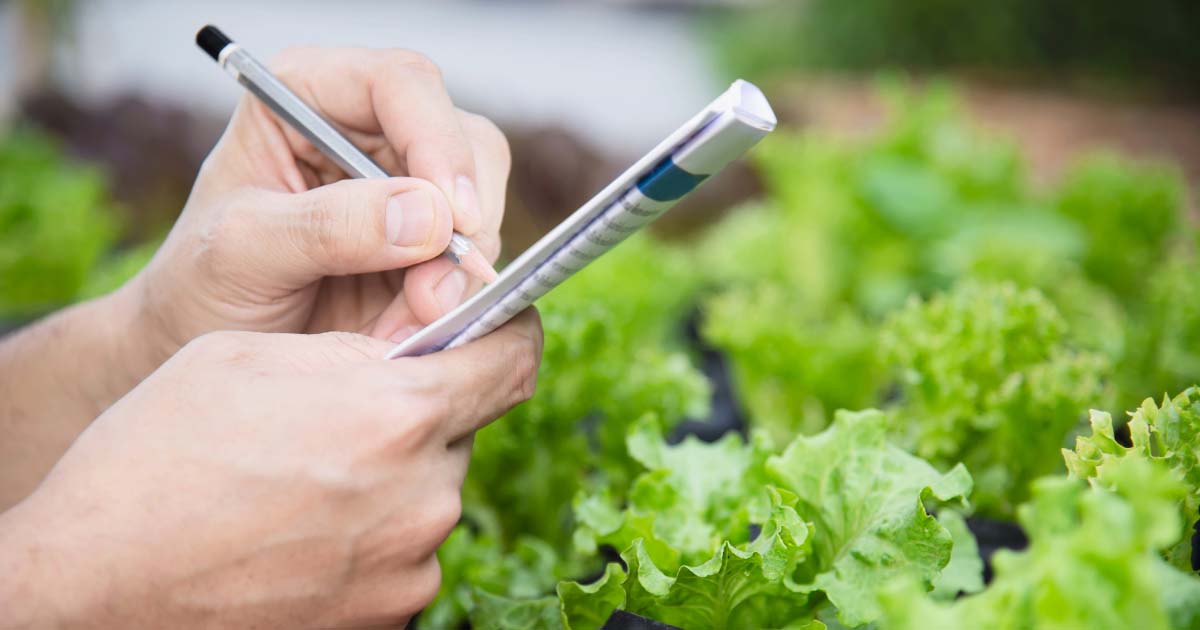 A farmer is writing down notes in a paper notebook while monitoring plants in a greenhouse.
