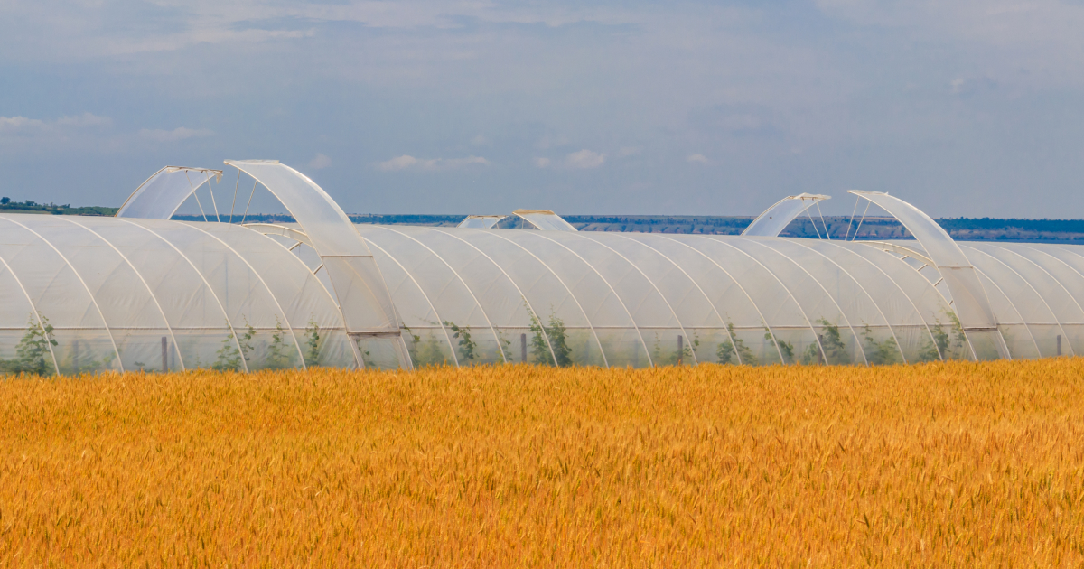 polycarbonate greenhouse farming technologies 